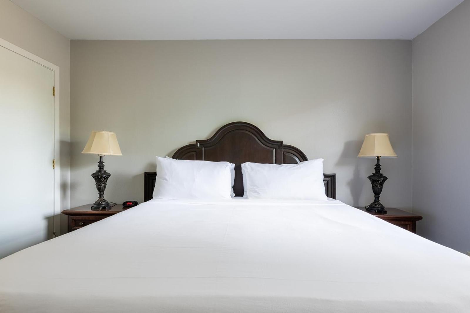French Quarter Suites Hotel La Nouvelle-Orléans Extérieur photo