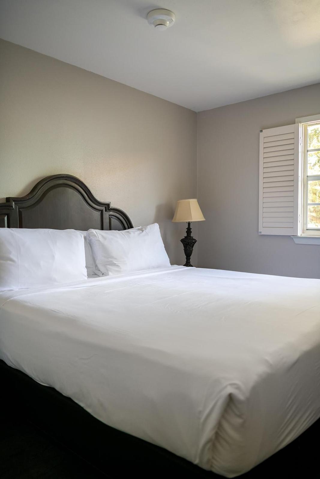 French Quarter Suites Hotel La Nouvelle-Orléans Extérieur photo
